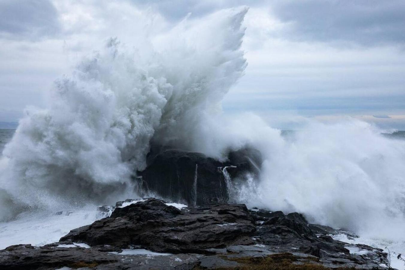 The Great Escape - Port Renfrew Βίλα Εξωτερικό φωτογραφία