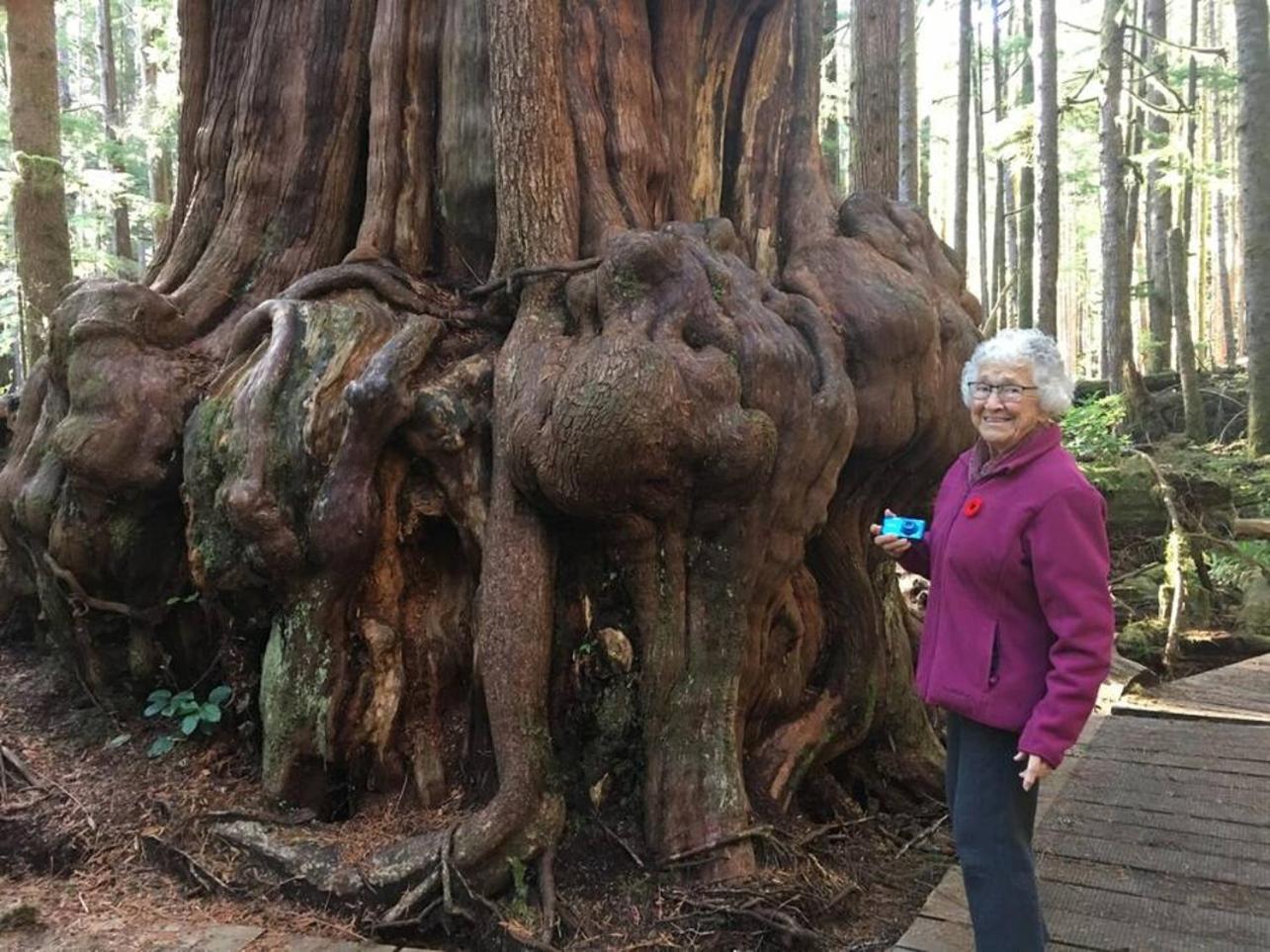 The Great Escape - Port Renfrew Βίλα Εξωτερικό φωτογραφία