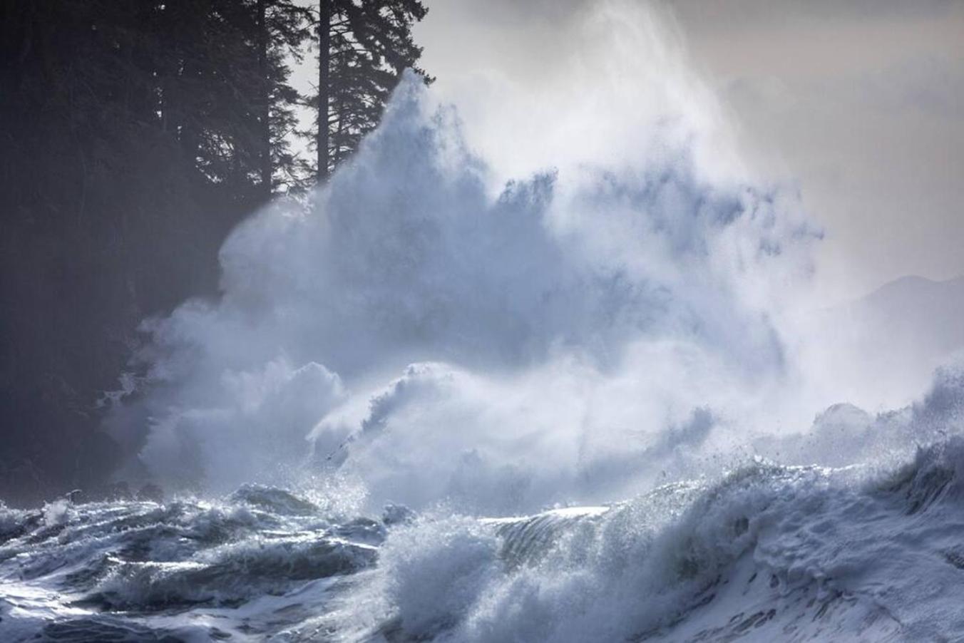 The Great Escape - Port Renfrew Βίλα Εξωτερικό φωτογραφία