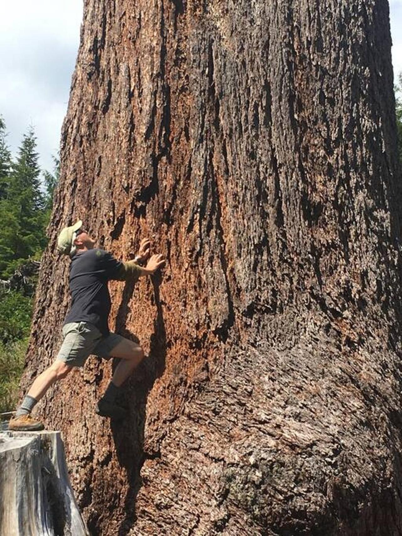The Great Escape - Port Renfrew Βίλα Εξωτερικό φωτογραφία