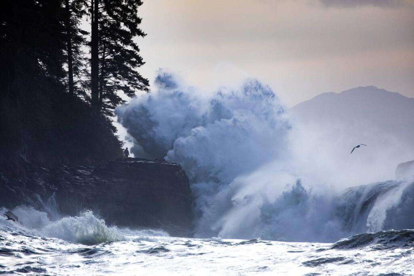 The Great Escape - Port Renfrew Βίλα Εξωτερικό φωτογραφία