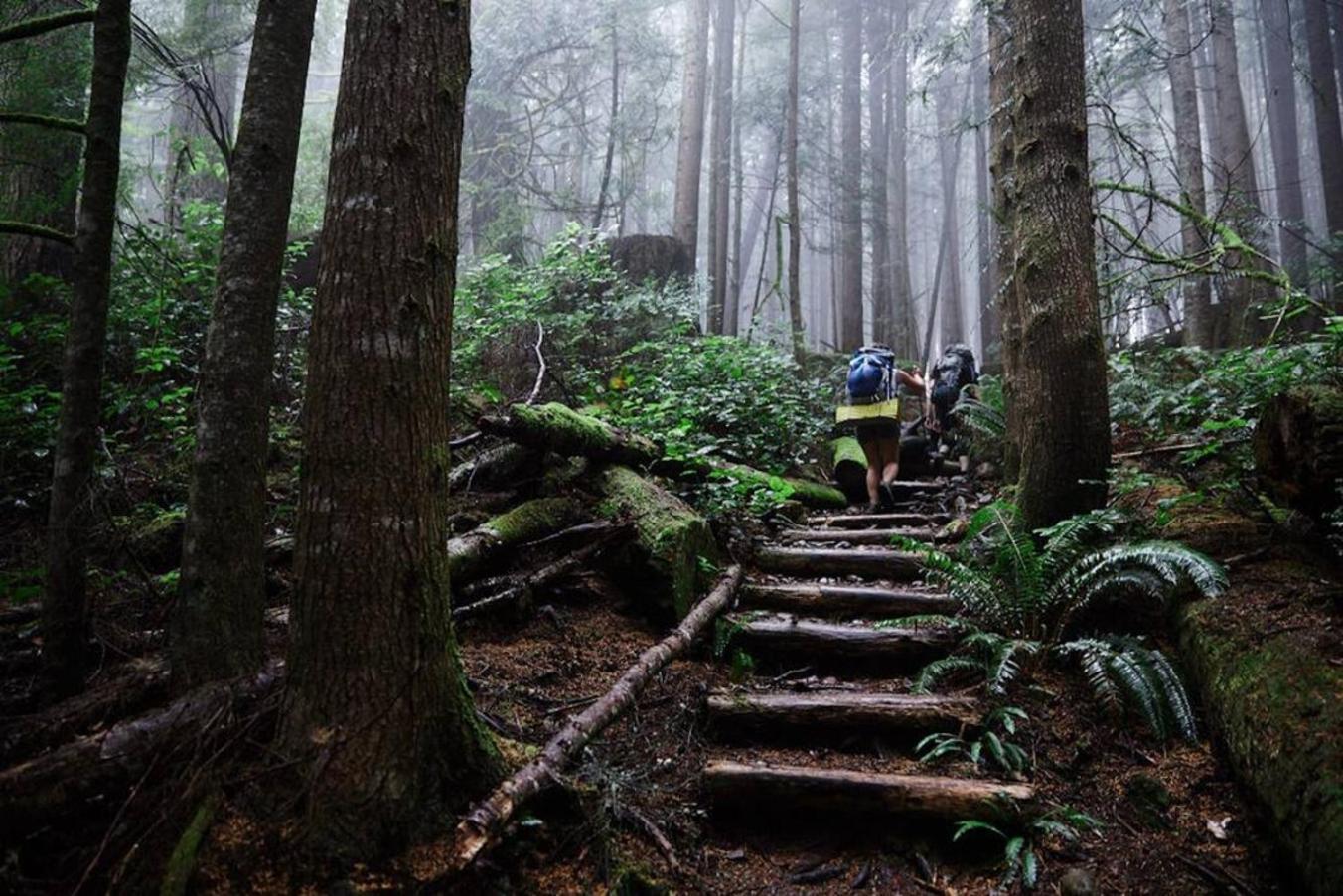 The Great Escape - Port Renfrew Βίλα Εξωτερικό φωτογραφία